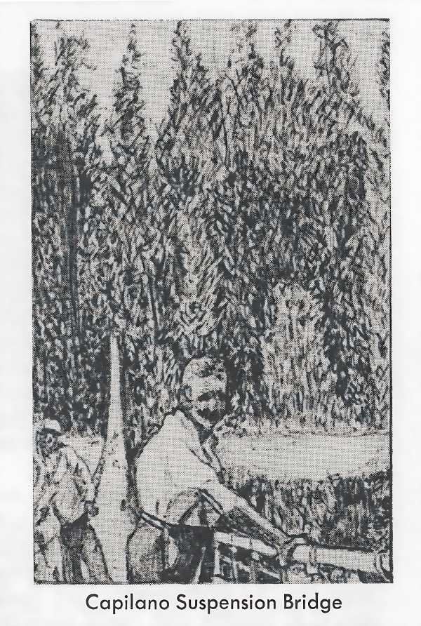 The Capilano Suspension Bridge from Murder Incorporated - In a Keg - Book by Harold J. Treherne
